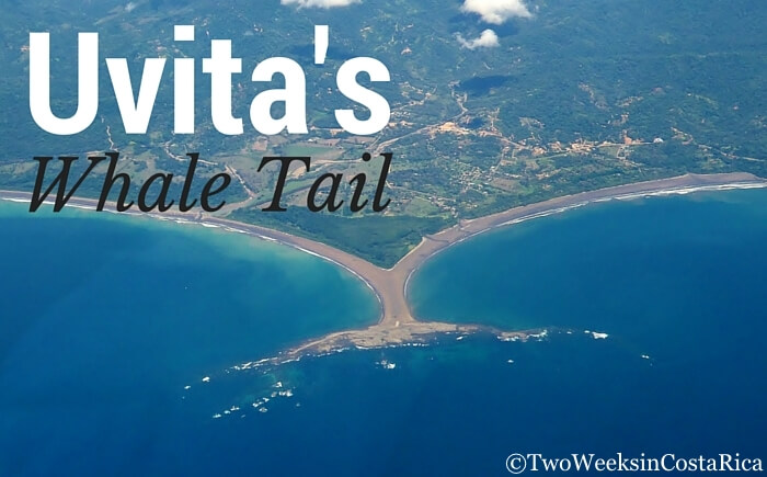 The Whale Tail at Uvita's Marino Ballena National Park - Two Weeks in