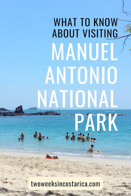 people swimming in calm ocean and light sand in foreground with text overlay that reads what to know about visiting manuel antonio national park