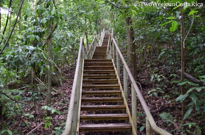 Miradores Trail - Manuel Antonio National Park