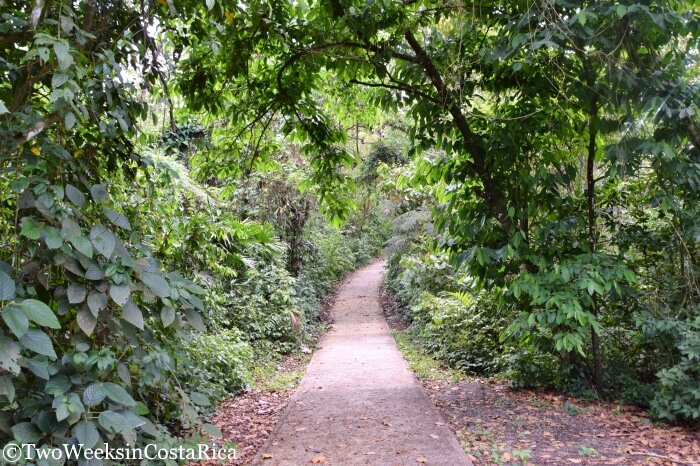 La Peninsula Trail at Arenal Volcano National Park