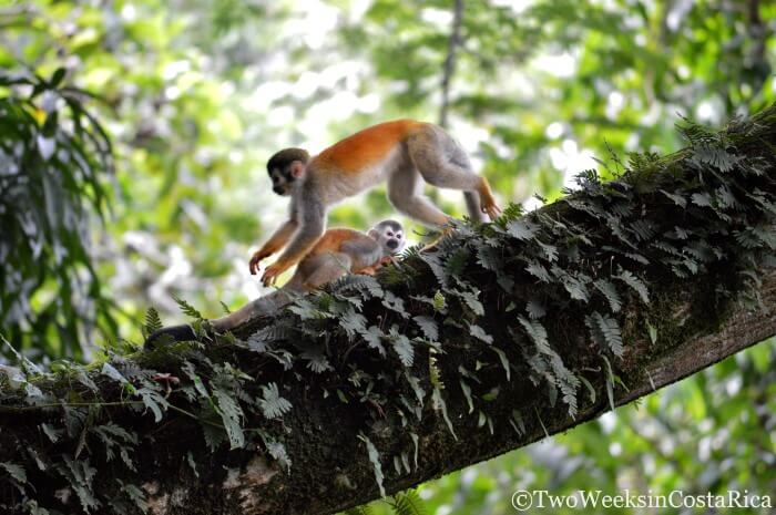 Wildlife Watching Inside the National Park