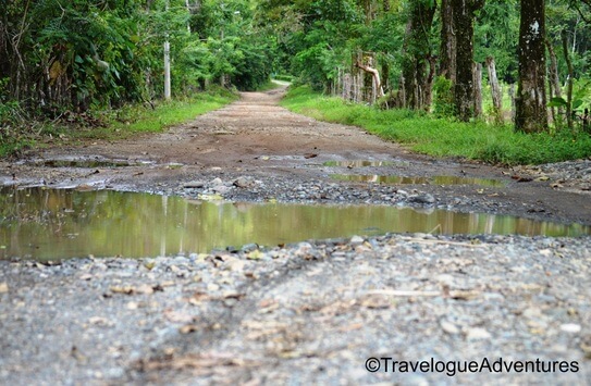 Rough dirt road in Costa Rica photo