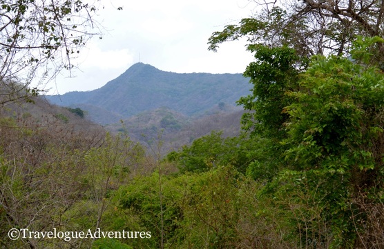 Diria National Park Photo 2