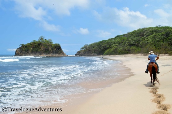 Horseback riding on the beach Nosara Costa Rica Picture