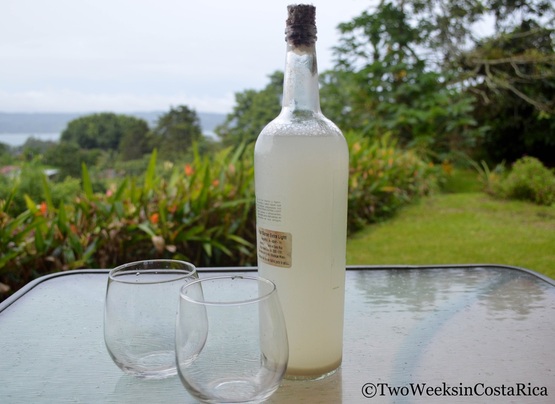 Vino de Coyol Costa Rica Picture