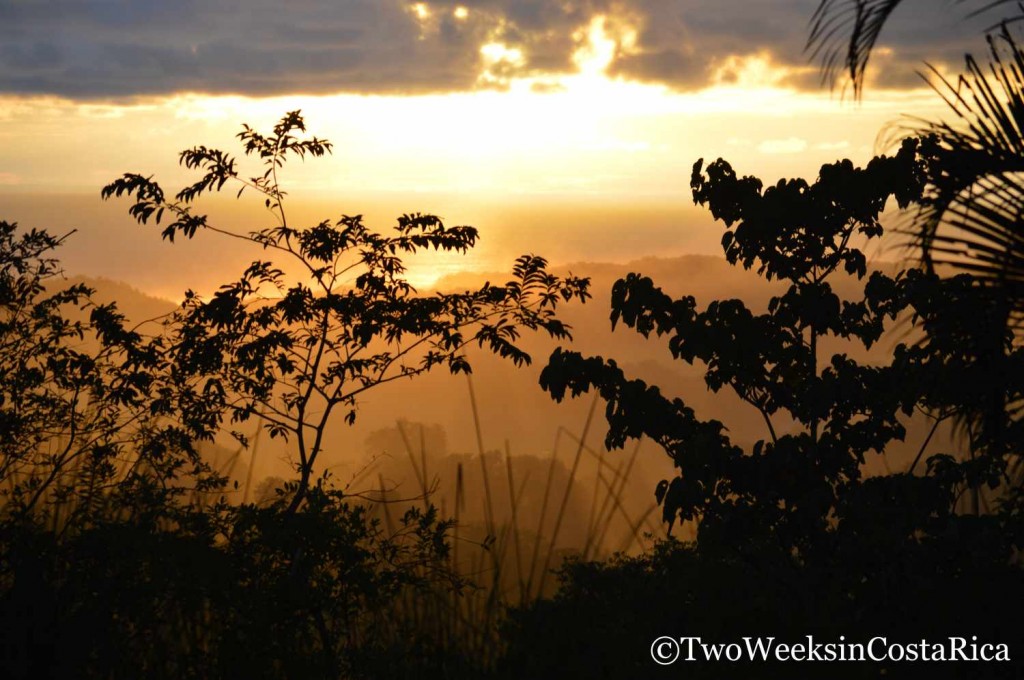 Housesitting in Costa Rica