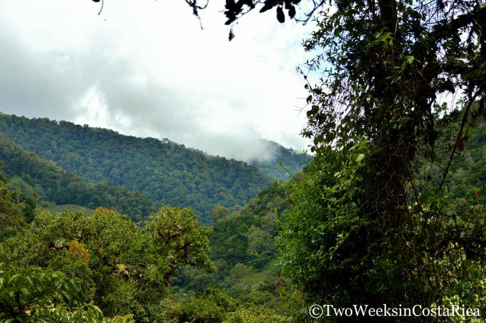 Cloud Forest, San Gerardo de Dota | Two Weeks in Costa Rica