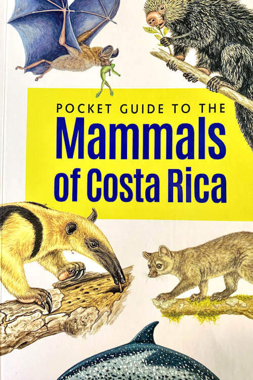 book with kinkajou and anteater on cover with text that reads mammals of costa rica