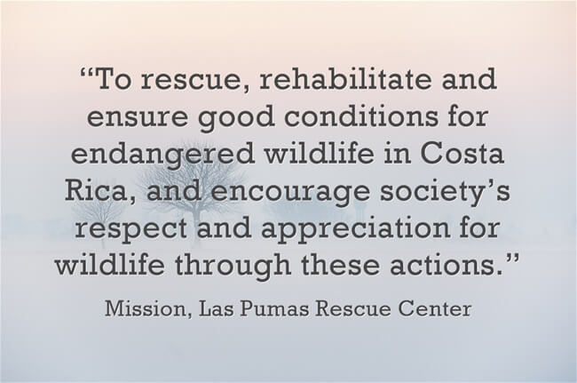 Las Pumas Mission Quote | Two Weeks in Costa Rica