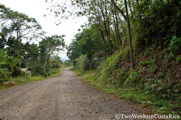 Road to La Iguana Chocolate | Two Weeks in Costa Rica