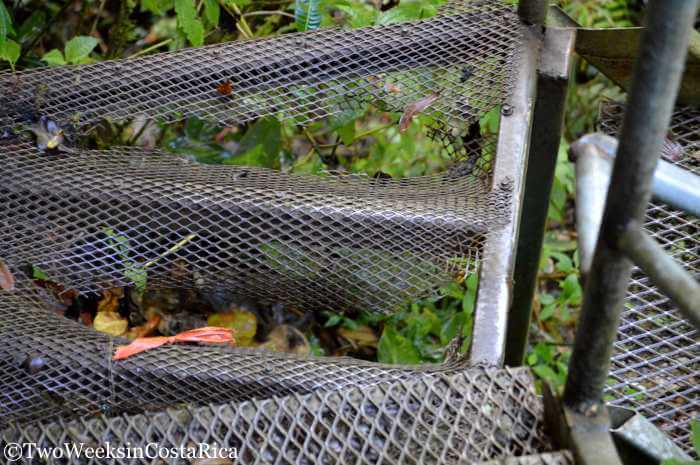 Path to San Gerardo Waterfall | Two Weeks in Costa Rica