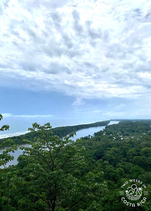 aerial view of lush green forest with river canal and ocean in background