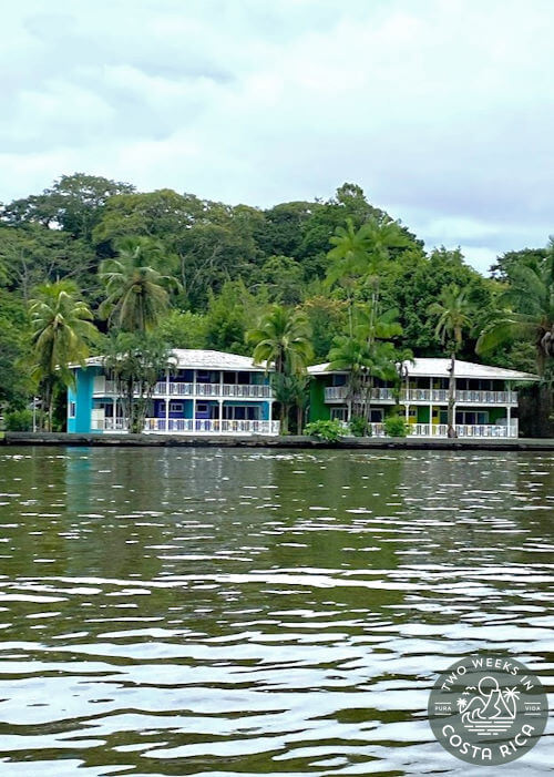 two large colorful buildings with white porches on a calm river with thick rainforest behind