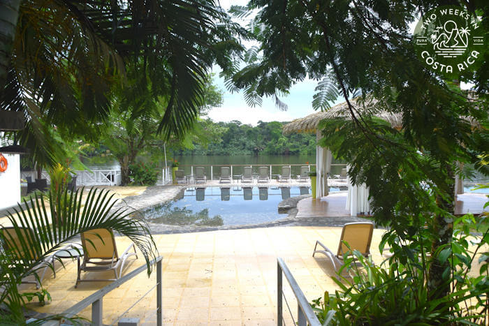 view of a lagoon pool from behind palm trees with lounge chairs in background