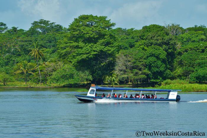 Transportation to Tortuguero | Two Weeks in Costa Rica