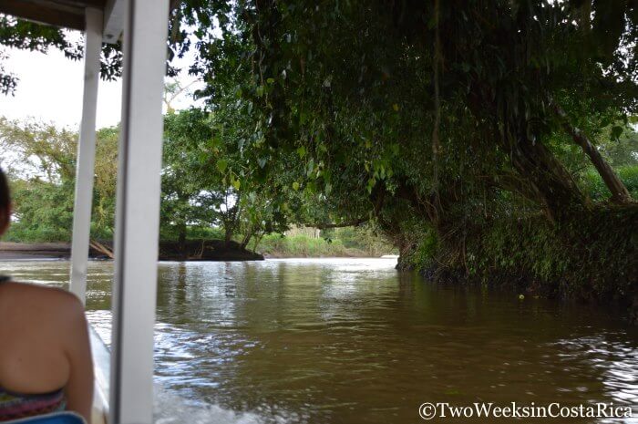 Views going to Tortuguero | Two Weeks in Costa Rica