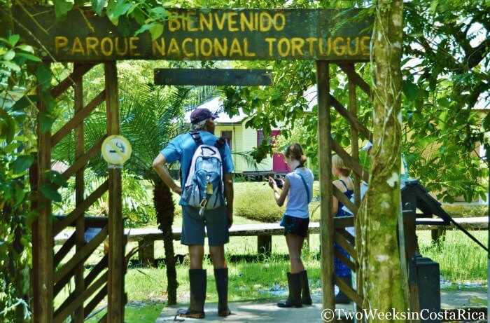 Tips for Visiting Tortuguero National Park