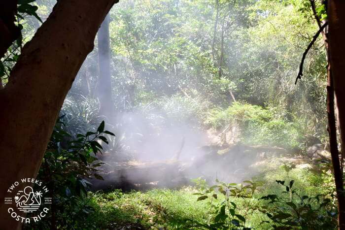 Steam Vents Rincon de la Vieja