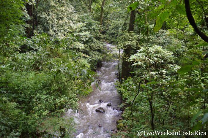 River at Los Chorros Waterfalls