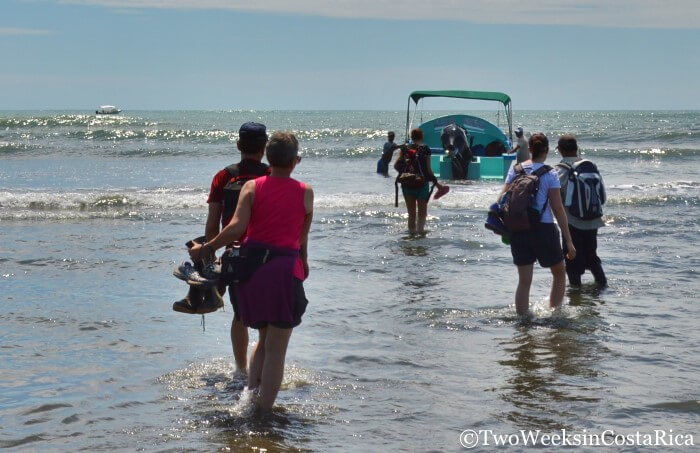 Spotting Costa Rica’s Most Spectacular Wildlife at Sirena Ranger Station | Two Weeks in Costa Rica