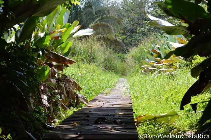 7 Things to do in Dominical | Two Weeks in Costa Rica