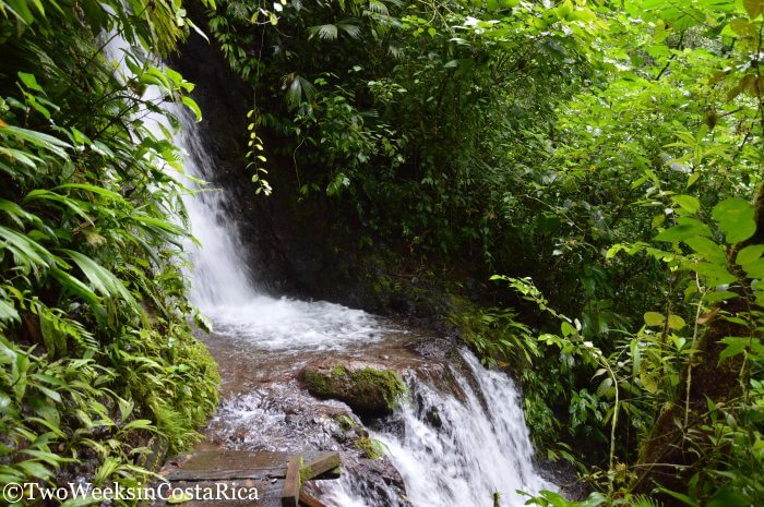 Best Time to Visit Costa Rica