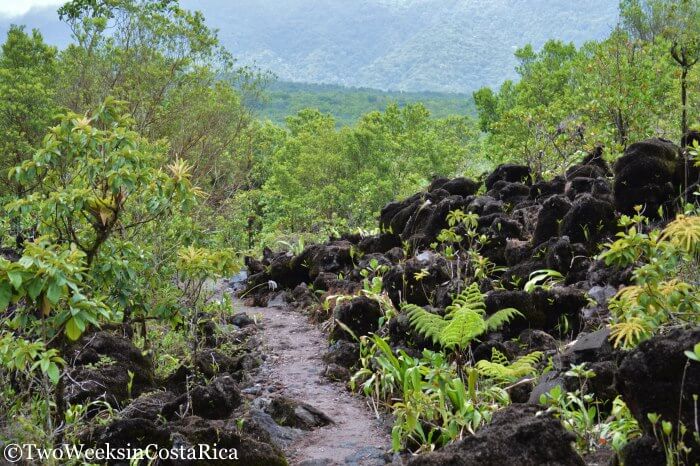 Arenal Volcano : Hiking the 1968 Trail | Two Weeks in Costa Rica