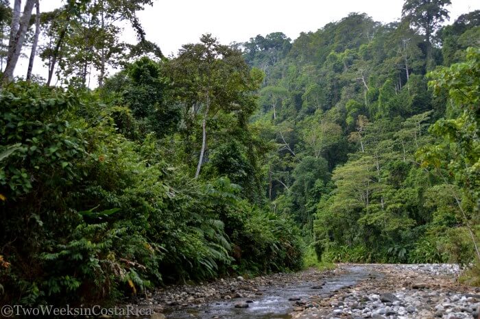 Corcovado’s El Tigre Entrance- Hiking and Activities from Puerto Jimenez | Two Weeks in Costa Rica