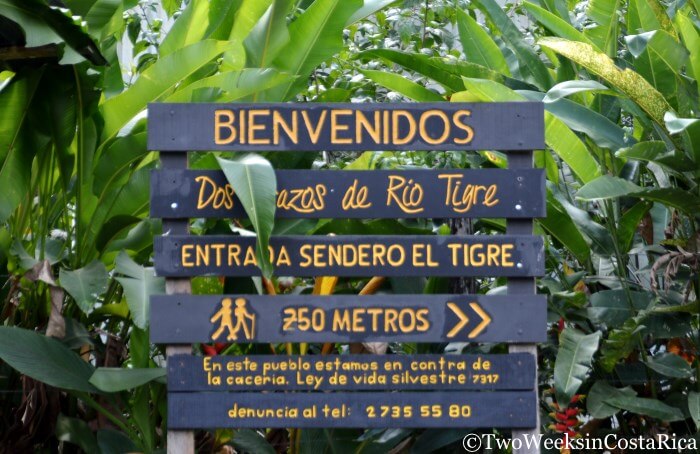 Corcovado’s El Tigre Entrance- Hiking and Activities from Puerto Jimenez | Two Weeks in Costa Rica