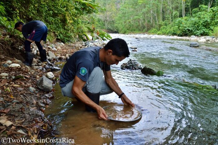 A Gold Mining Tour: Hunting for Treasure on the Osa