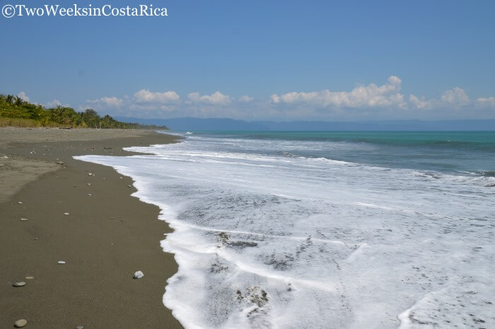 Puerto Jimenez: An Outpost to the Osa | Two Weeks in Costa Rica