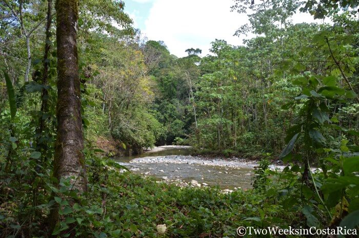 A Gold Mining Tour: Hunting for Treasure on the Osa