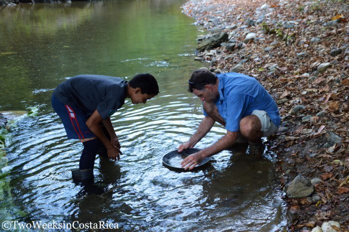 A Gold Mining Tour: Hunting for Treasure on the Osa