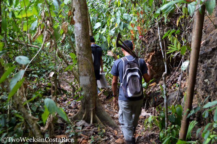 A Gold Mining Tour: Hunting for Treasure on the Osa