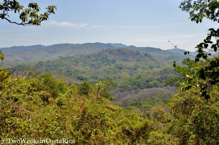 Samara Trails: Exploring the Tropical Dry Forest