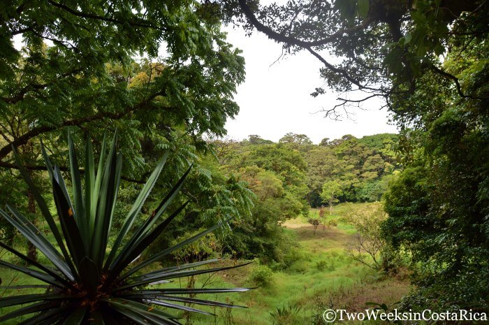 Curi Cancha Reserve - Avoiding the Crowds in Monteverde