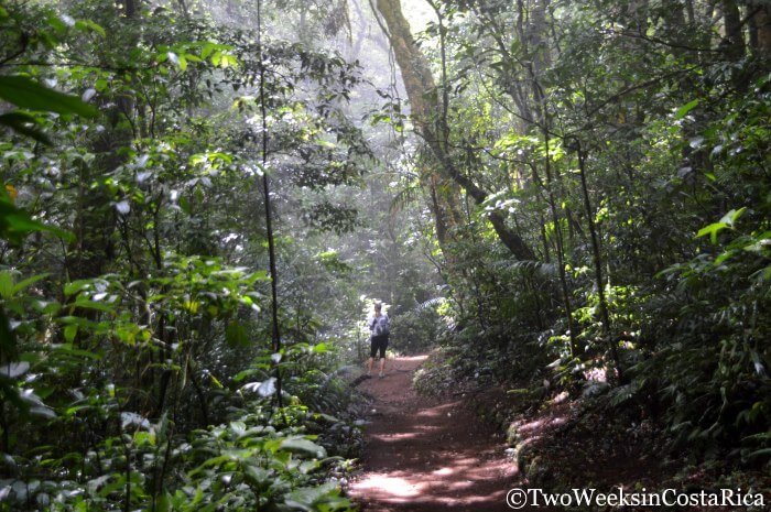 Curi Cancha Reserve - Avoiding the Crowds in Monteverde