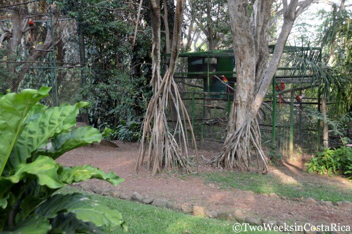 Costa Rica's Botanical Orchid Garden