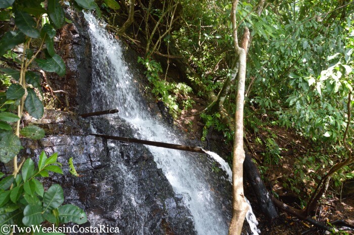 Playa Arco: A Secret Beach Near Uvita | Two Weeks in Costa Rica