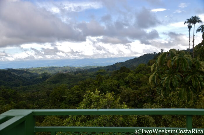 Canopy tower at Wilson Botanical Garden