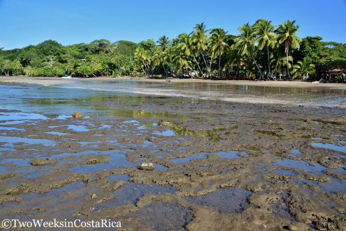 Jaco Destination Guide - The nearby Playa Esterillos Oeste