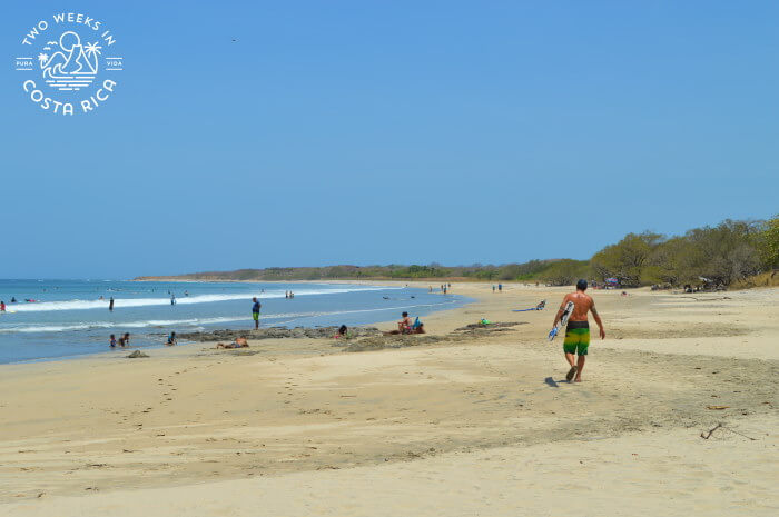 Playa Avellanas Guide