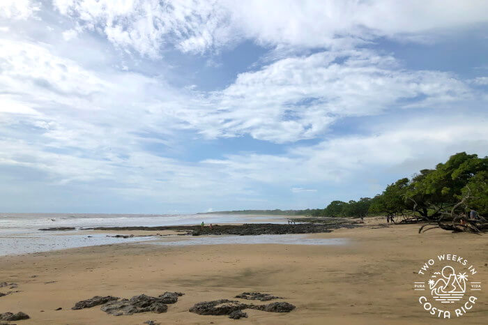 Playa Avellanas View at Low Tide