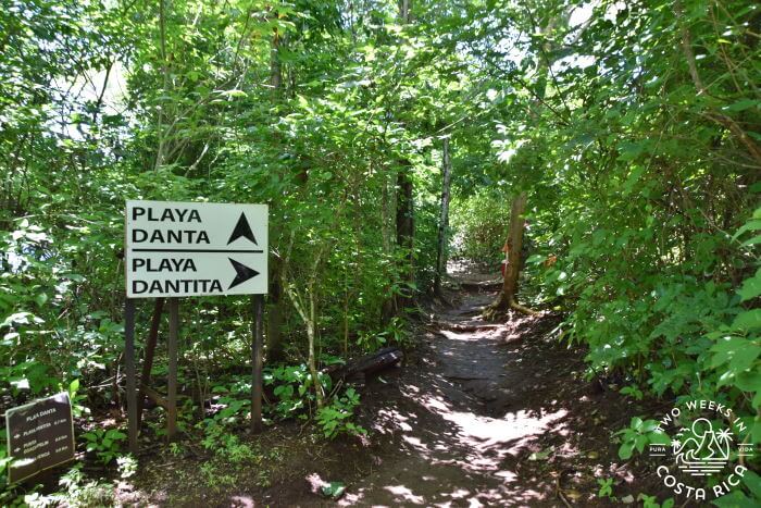 Trail to Playa Dantita