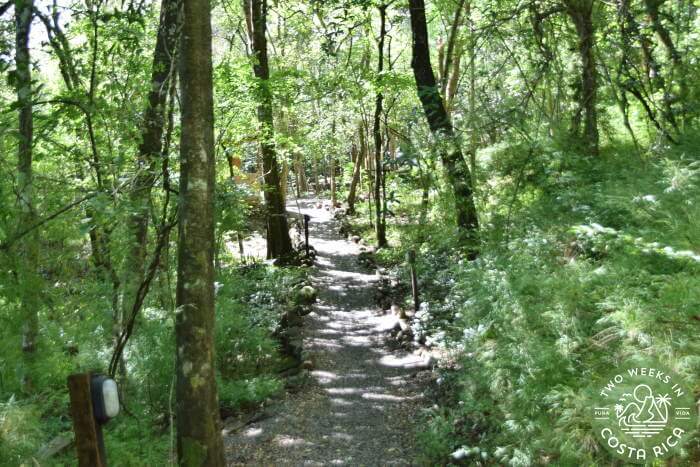 Trail Access Hot Springs Rincon de la Vieja