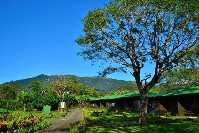 Buena Vista Eco Adventure Park and Lodge