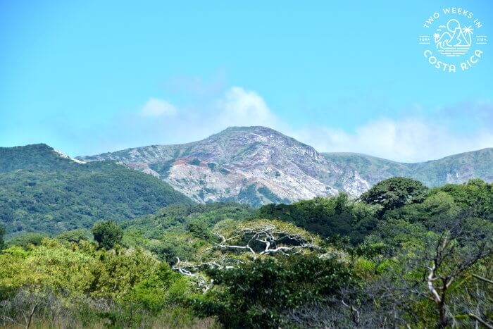 Curubande de Liberia in Rincon de la Vieja