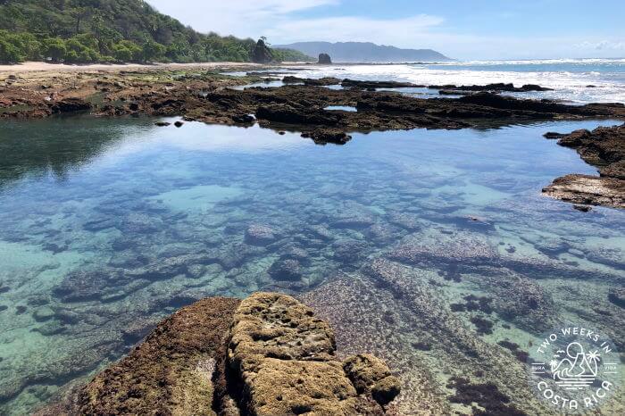 Santa Teresa Tide Pool