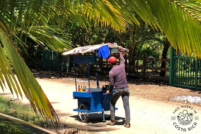 Beach Ice Cream Vendor 