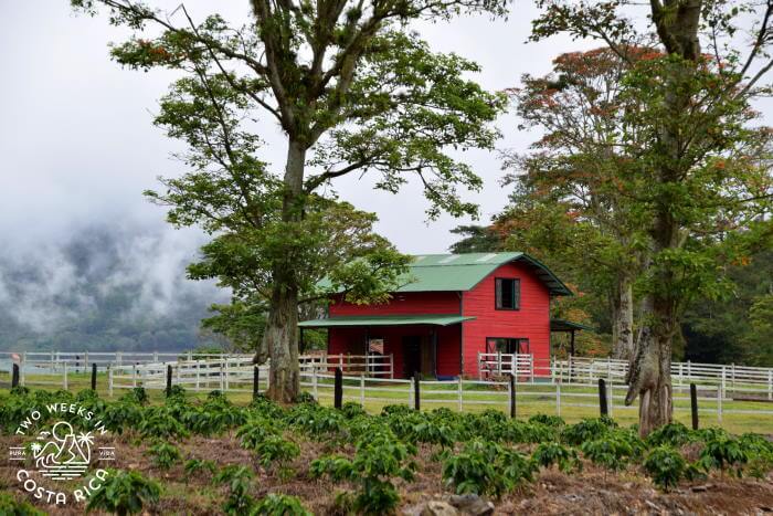 Red Barn Hacienda Orosi